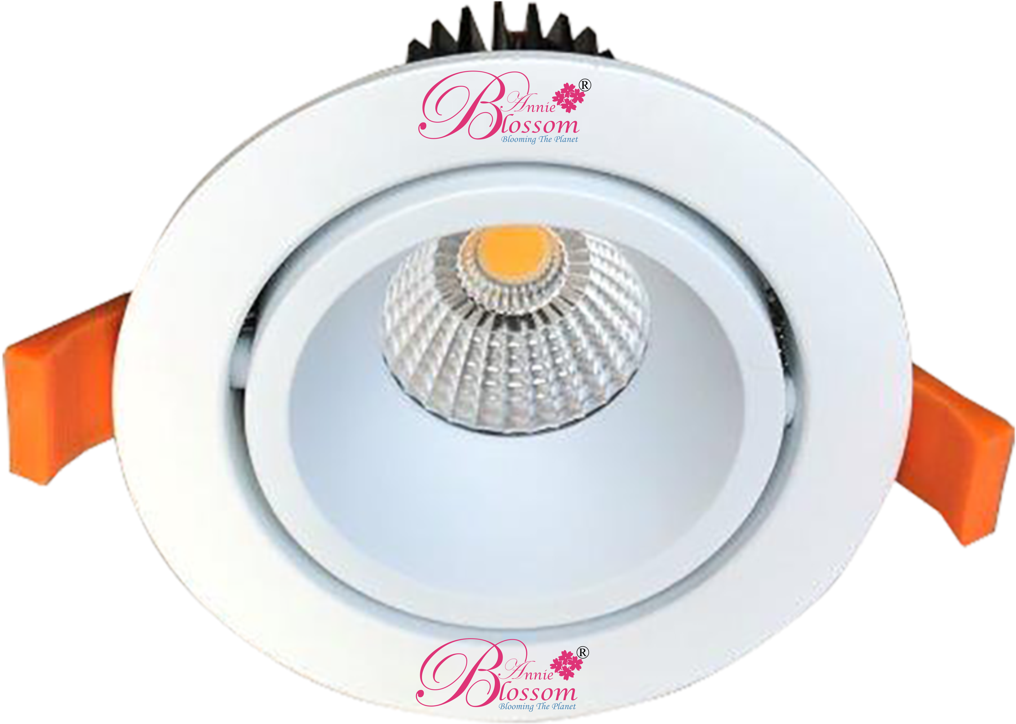 COB Down Light 12W  White